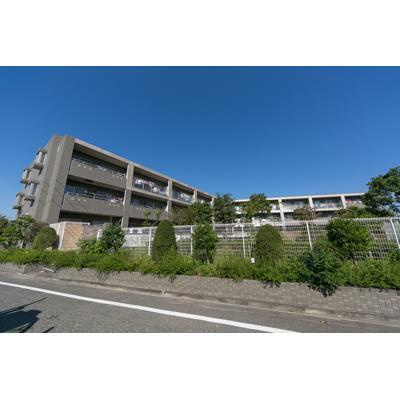 【外観】 | グリーンハウス高松