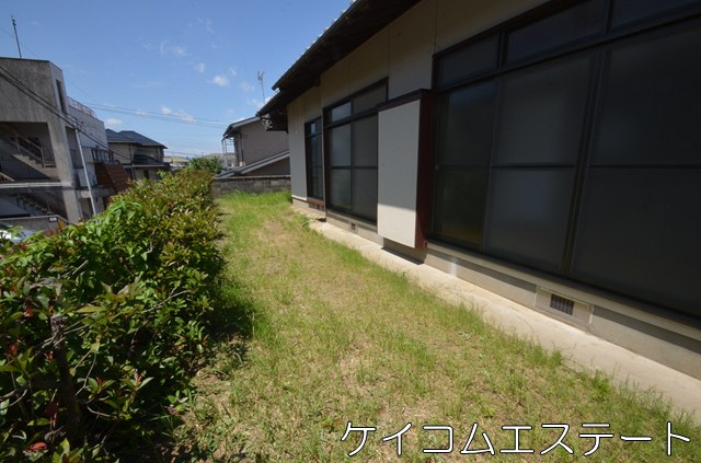 通谷フラットハウスの庭