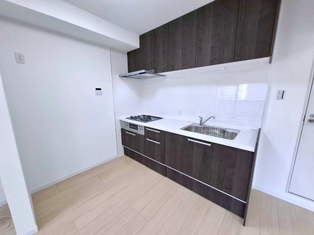 ライオンズマンション大文閣　9階のキッチン