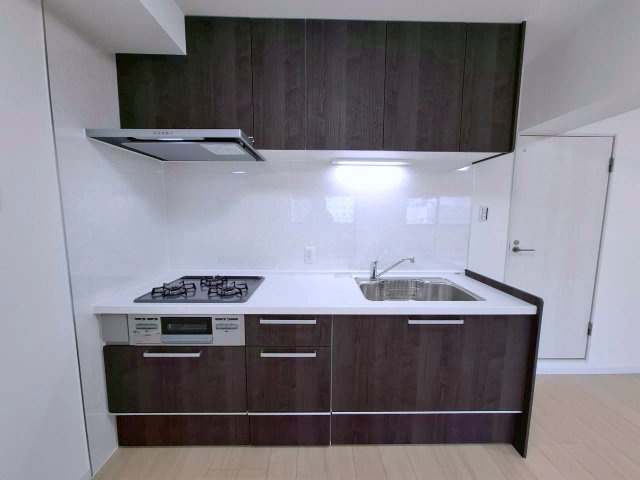 ライオンズマンション大文閣　9階のキッチン