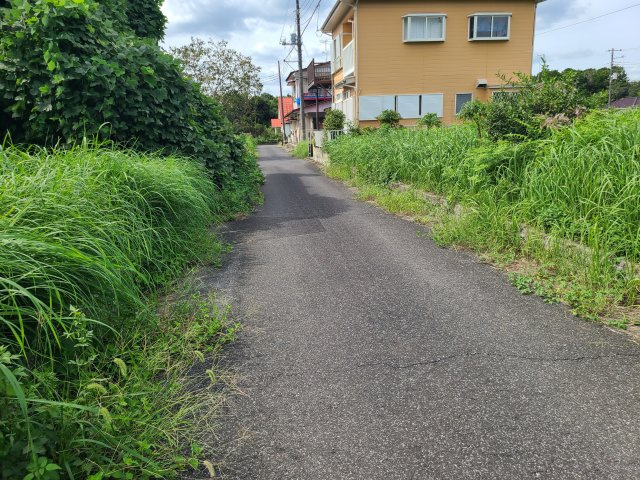 ブルーハイツの周辺