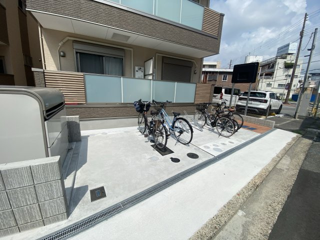 F asecia propusのその他共用部分