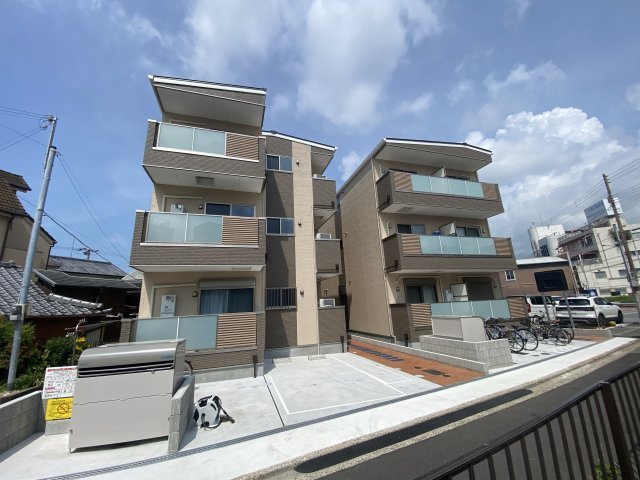 F asecia propusの外観