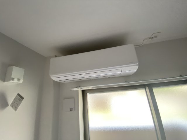 F asecia propusの設備