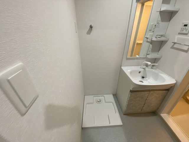 F asecia propusのその他