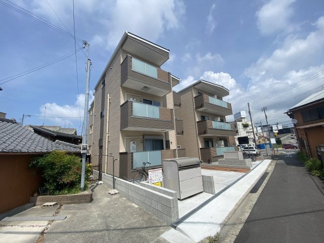 F asecia propusの外観