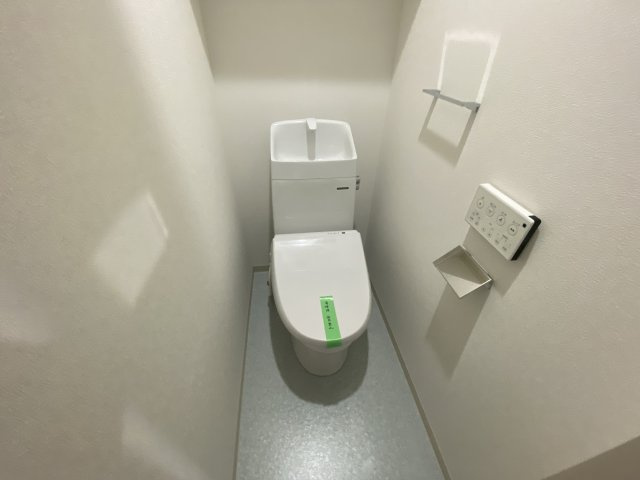 F asecia propusのトイレ