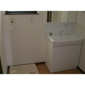 メゾン・プランドールの洗面所