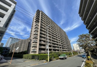 ブラウトリエの画像