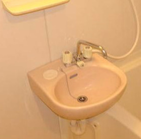 パイニーメゾン清澄の洗面所