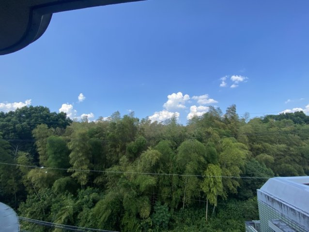 メゾン・ド・パイユの展望