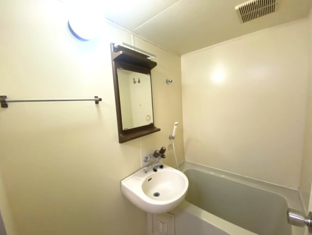 メゾン・ド・パイユの洗面所