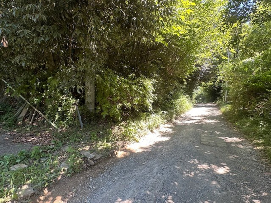 【前面道路含む現地写真】 | かどの原分譲地　売地