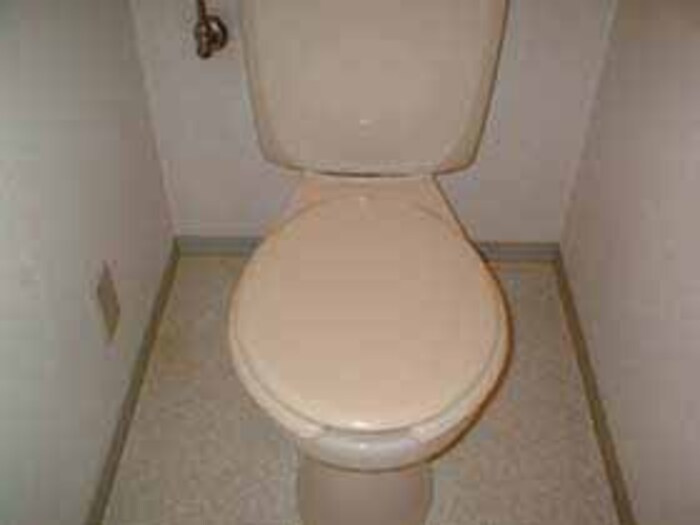 セジュール･パレのトイレ|205：トイレ