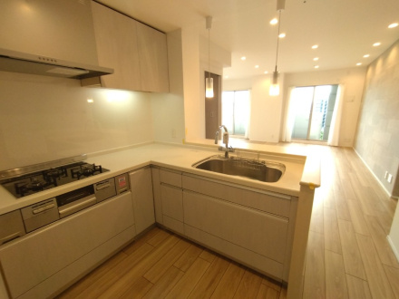 エステムコート名古屋・栄デュアルレジェンドのキッチン