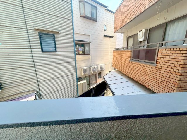 園生マンションの展望