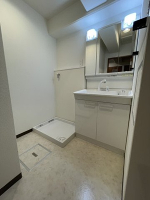 【独立洗面台】 | リーフ天王寺