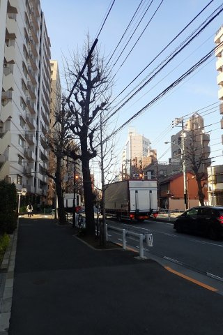 コンフォルテハイム本駒込の周辺