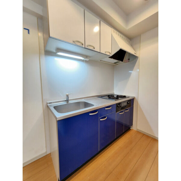 MK BLDG.のキッチン