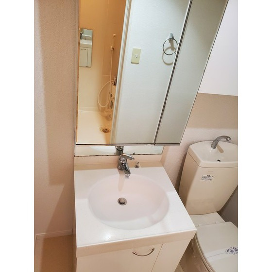 アルゴハイツ下山門の洗面所