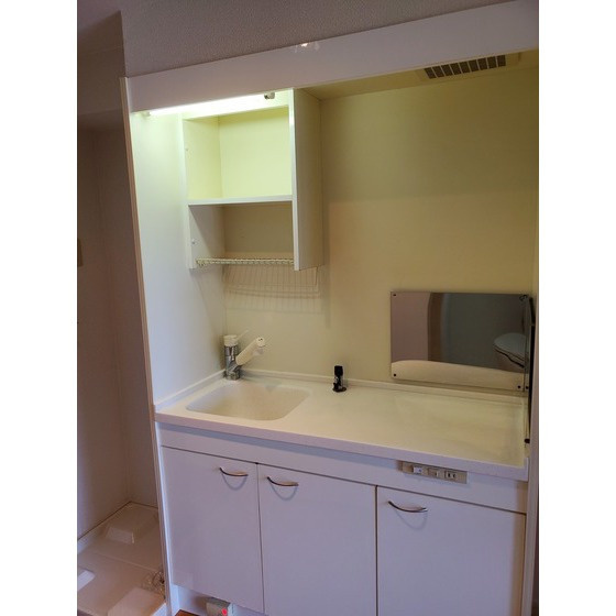 アルゴハイツ下山門の洗面所