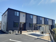 フェリス　エスの画像