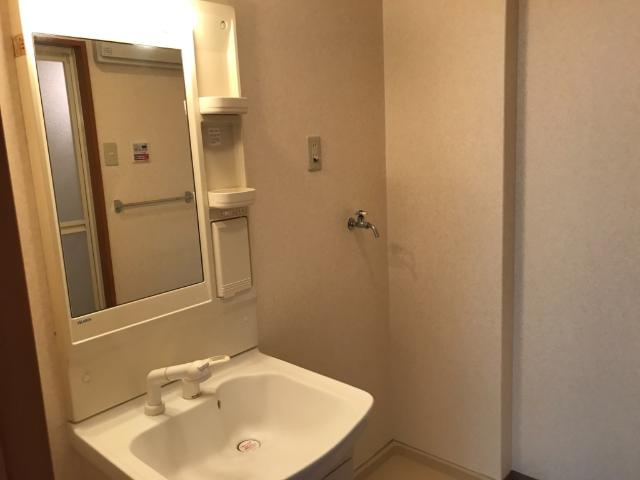 サニープレイスＡの洗面所|洗面