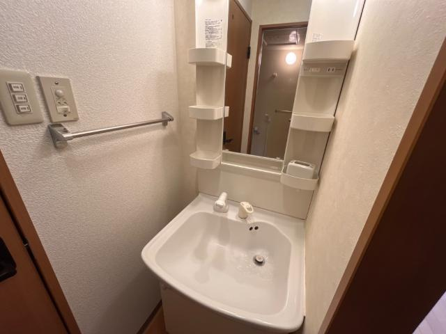 エクセルタウン蔵上Ⅱの洗面所|洗面