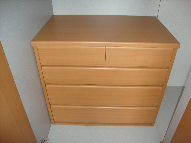 アプリコットのその他|チェスト