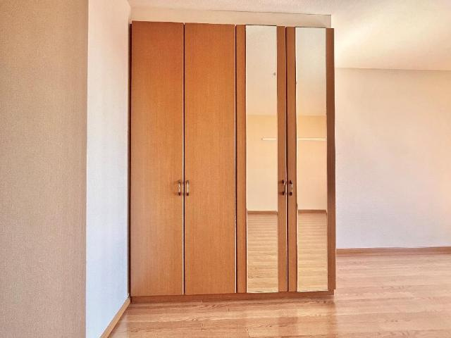 アランチーノの収納|洋室クローゼット