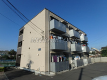 フラットコート2の画像