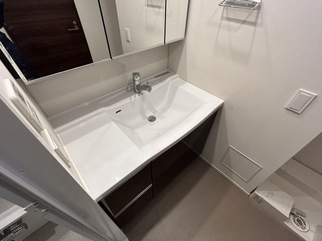 ザ・パークハウス川口本町の独立洗面台