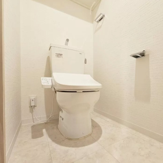 ラ・ピシーヌ南堀江のトイレ