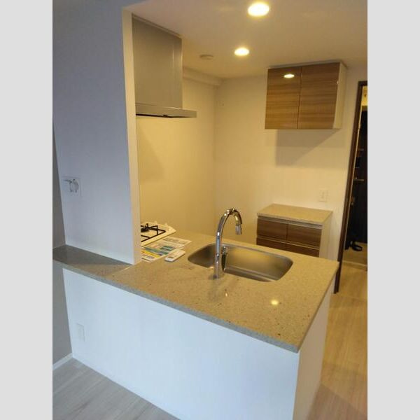 エスリードレジデンス梅田マークスの内装