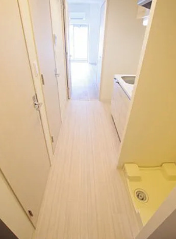 プレサンス心斎橋ソレイユの玄関