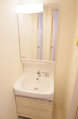 プレサンス心斎橋ソレイユの独立洗面台