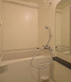 プレサンス堺筋本町センティスの浴室