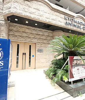 アーデン京町堀ウエストのエントランス