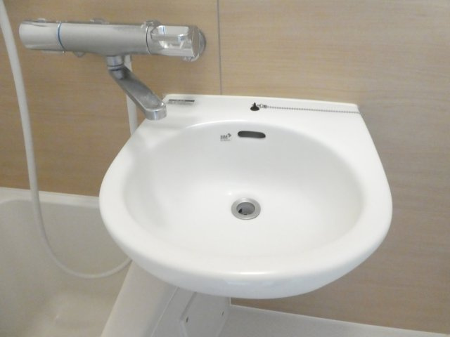 ベルグラン宝塚の洗面所