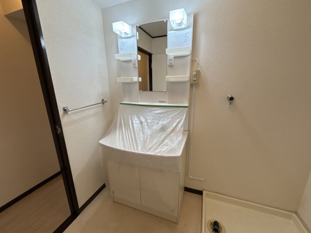 ヌーベルメゾン清水の洗面所