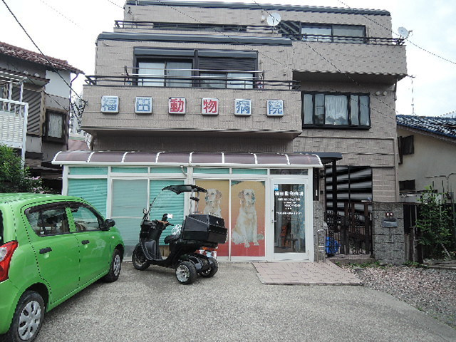 パインクレストのその他|福田動物病院