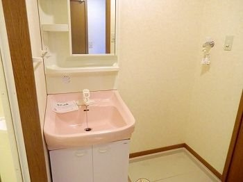 リバーサイドヴィレッジの洗面所