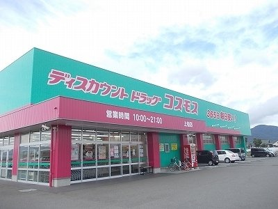 サンハイツの周辺|コスモス上板店様まで600m