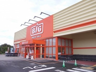 サンハイツの周辺|ザ・ビッグ上板店様まで1100m