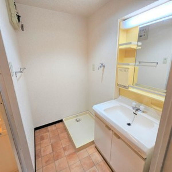 ファミール元桜田の洗面所