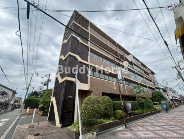 アンシャンテ平野の外観