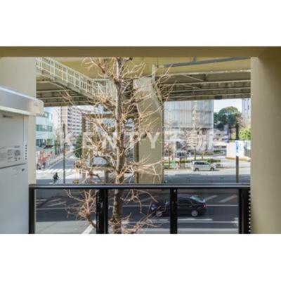 【展望】 | 松葉
