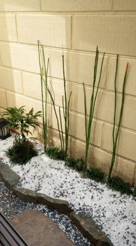 【庭】 | S22171-錦林