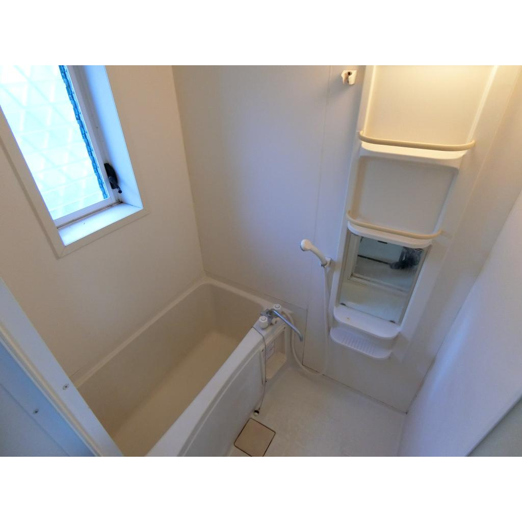 ｻﾞ ﾊｳｽ ｵﾌﾞ ﾏﾀﾞﾑｼﾞｭｴﾙ  A1棟の浴室|風呂