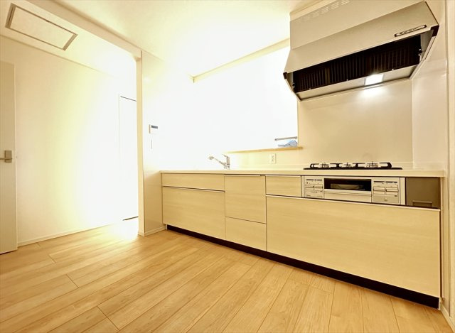 【キッチン】 | 新座市大和田5丁目　新築一戸建住宅　全1棟　(志木本店) | 奥まで一目で確認できるスライド収納は調味料や調理器具の出し入れがスムーズです。